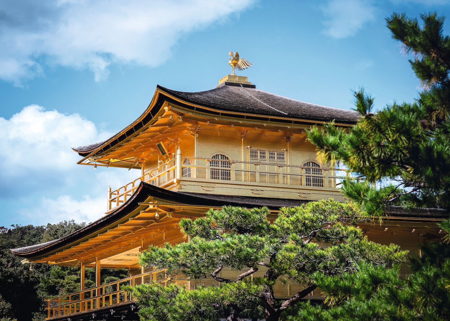Le Kinkaku-ji (pavillon d’Or) à Kyoto