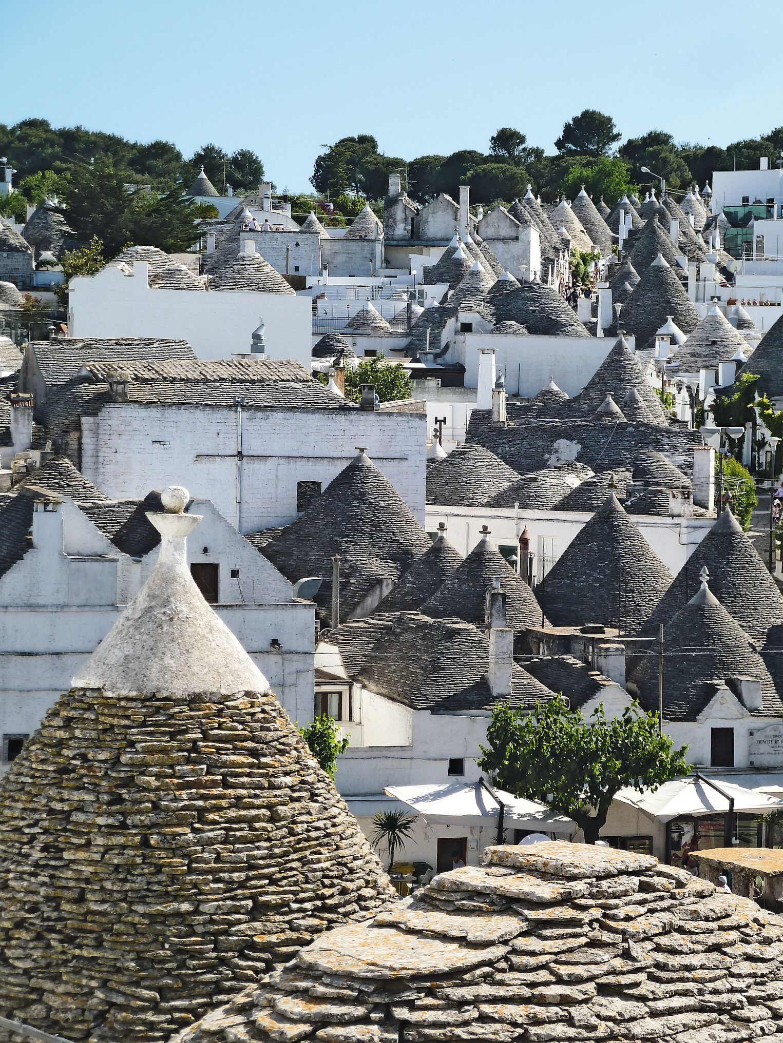 Vue sur les toits d’Alberobello