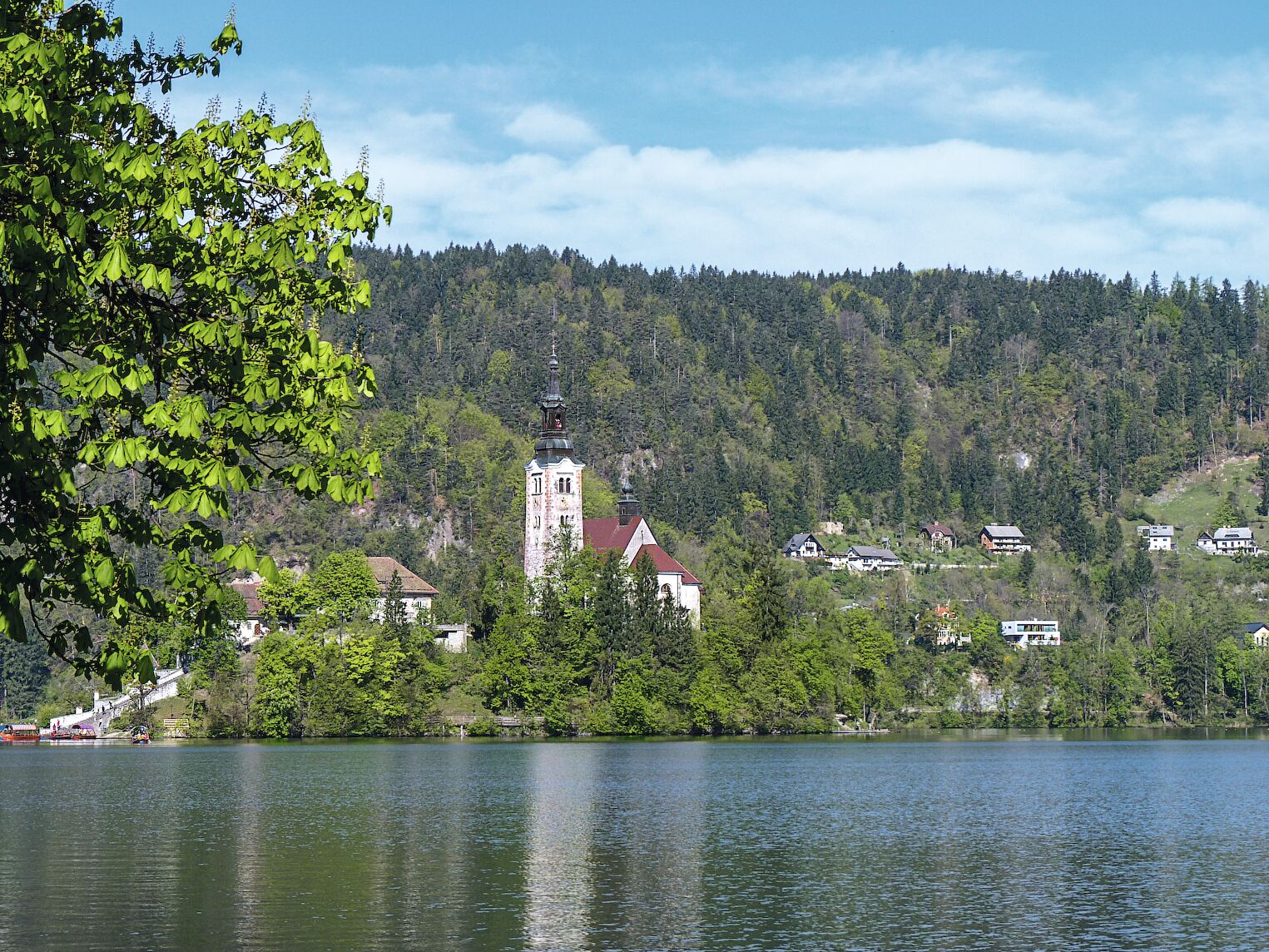 Le lac de Bled en Slovénie